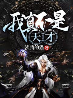 只想装一次的我真不是天才