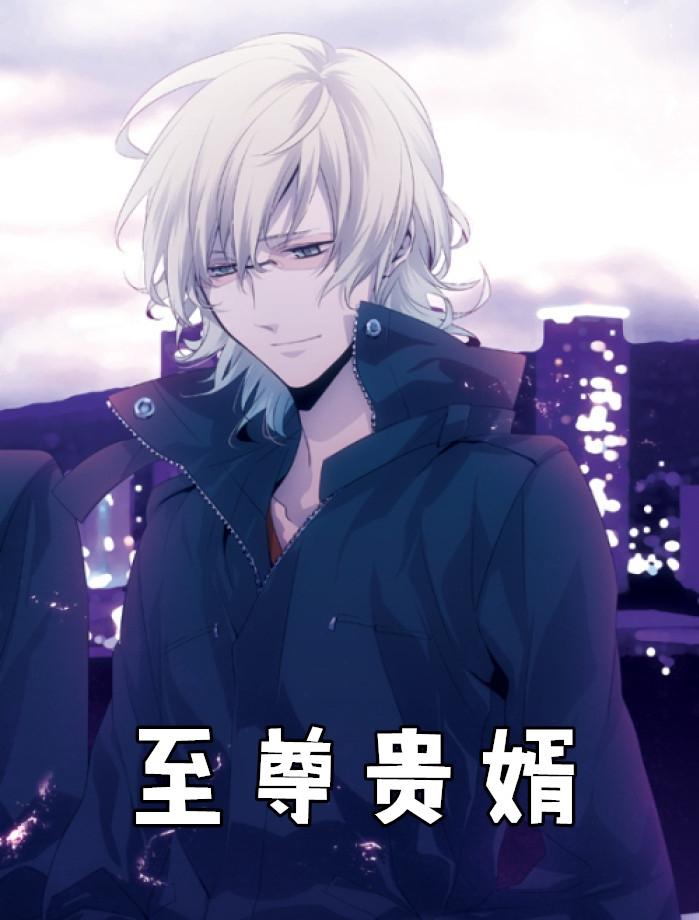 至尊豪婿笔趣阁