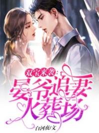 双宝来袭请赐教全文目录
