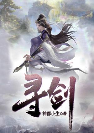 寻剑无名英雄蔡威传奇读后感