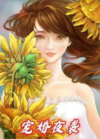 宠婚夜袭神秘总裁有点坏迟小宴