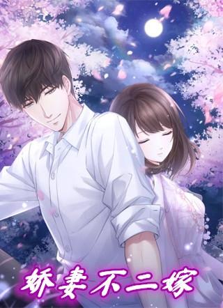 婚不二嫁免费版