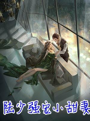 强宠陆少鲜妻陆少滚