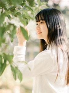 甜妻入怀陆少宠上瘾