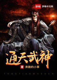 通天武神txt免费