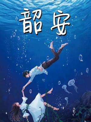 韶安物流