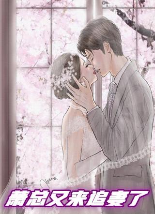 萧总追妻路漫漫