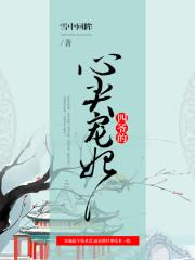 四爷的心尖宠妃第几章登基