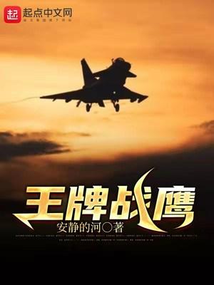 王牌战鹰TXT免费