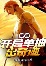 海贼王开局单抽出奇迹