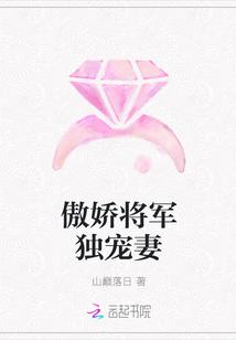 傲娇将军攻神医受