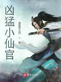 凶猛小仙官TXT