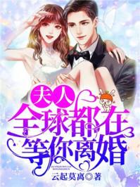 全球都在等你离婚电视剧版