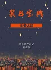 装b宝典车在哪一章
