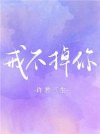 戒不掉你的爱歌词完整版