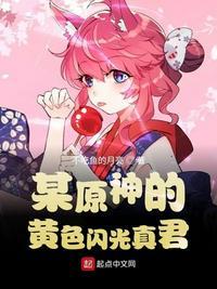 某原神的黄色闪光真君TXT