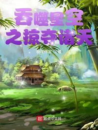 吞噬星空之掠夺诸天TXT