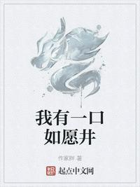 我有一口如愿井苏辰井