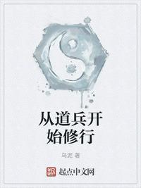 道兵系统