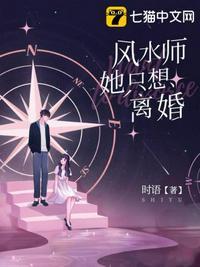 风水师她只想离婚司尘