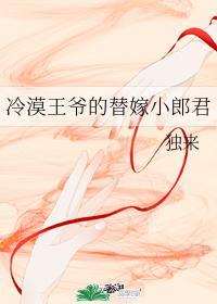 冷漠王爷的替嫁小郎君 作者独来