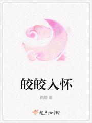 皎皎入怀起点
