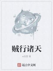 贼行诸天 w风雪