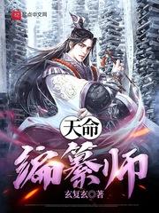天命编纂师无错
