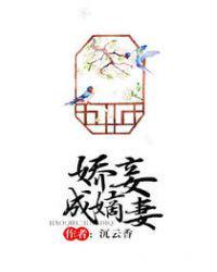 娇妾成嫡妻by沉云香