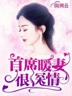 首席夫人要离婚宋浅和厉景琰