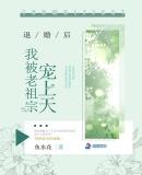 退婚后被三个大佬哥哥宠上天全集