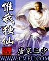 惟我独仙结局