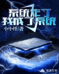 系统炸了我成为系统