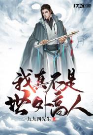 我真不是世外高人txt