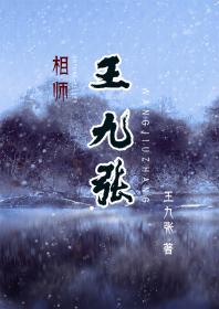 相师王九张起点