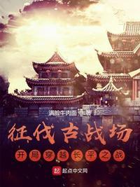穿越长平之战赵括