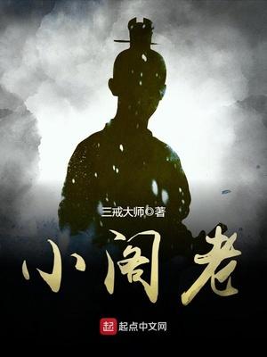 小阁老赵昊赵守正txt