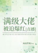 满级大佬被撩