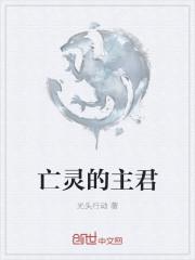亡灵之主磨损推荐