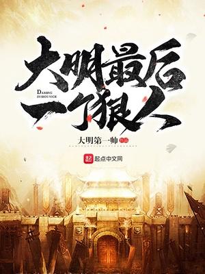 大明皇太子朱慈烺主角