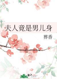 夫人竟是男儿身全文阅读