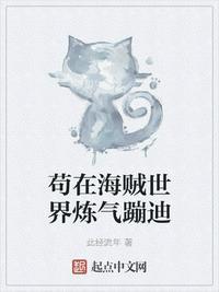 我在海贼世界开娱乐场所