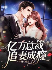 亿万总裁追妻成瘾一木木林