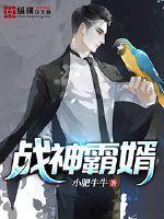 夏尘沈幽然战神霸婿