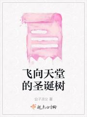 飞向了天堂的歌词
