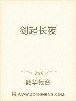剑起长夜百度