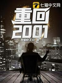 重回2001夜色迷人全文免费阅读