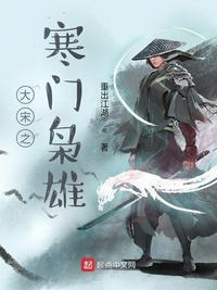 大宋枭雄txt