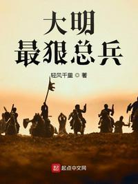 大明最狠总兵免费阅读
