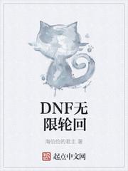 dnf无限轮回txt八零